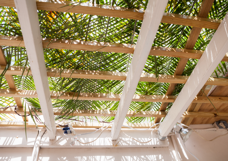 Sukkah